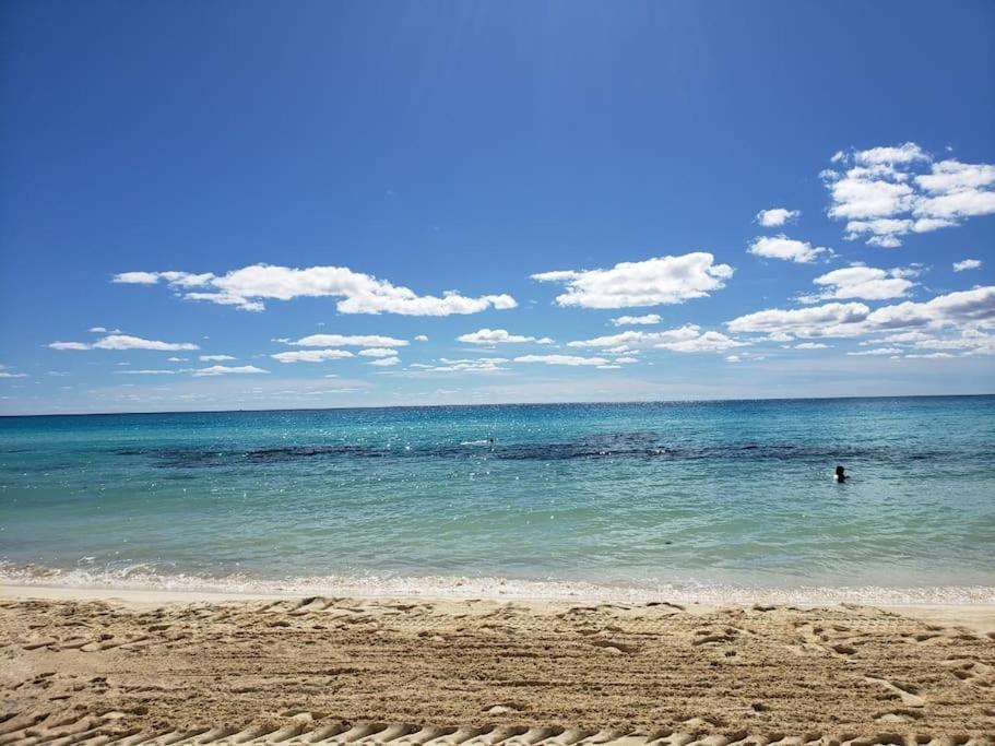 Micro Studio Perfect For Backpackers, Couples, 3 Min Drive To Playa El Nino Cancún Eksteriør bilde